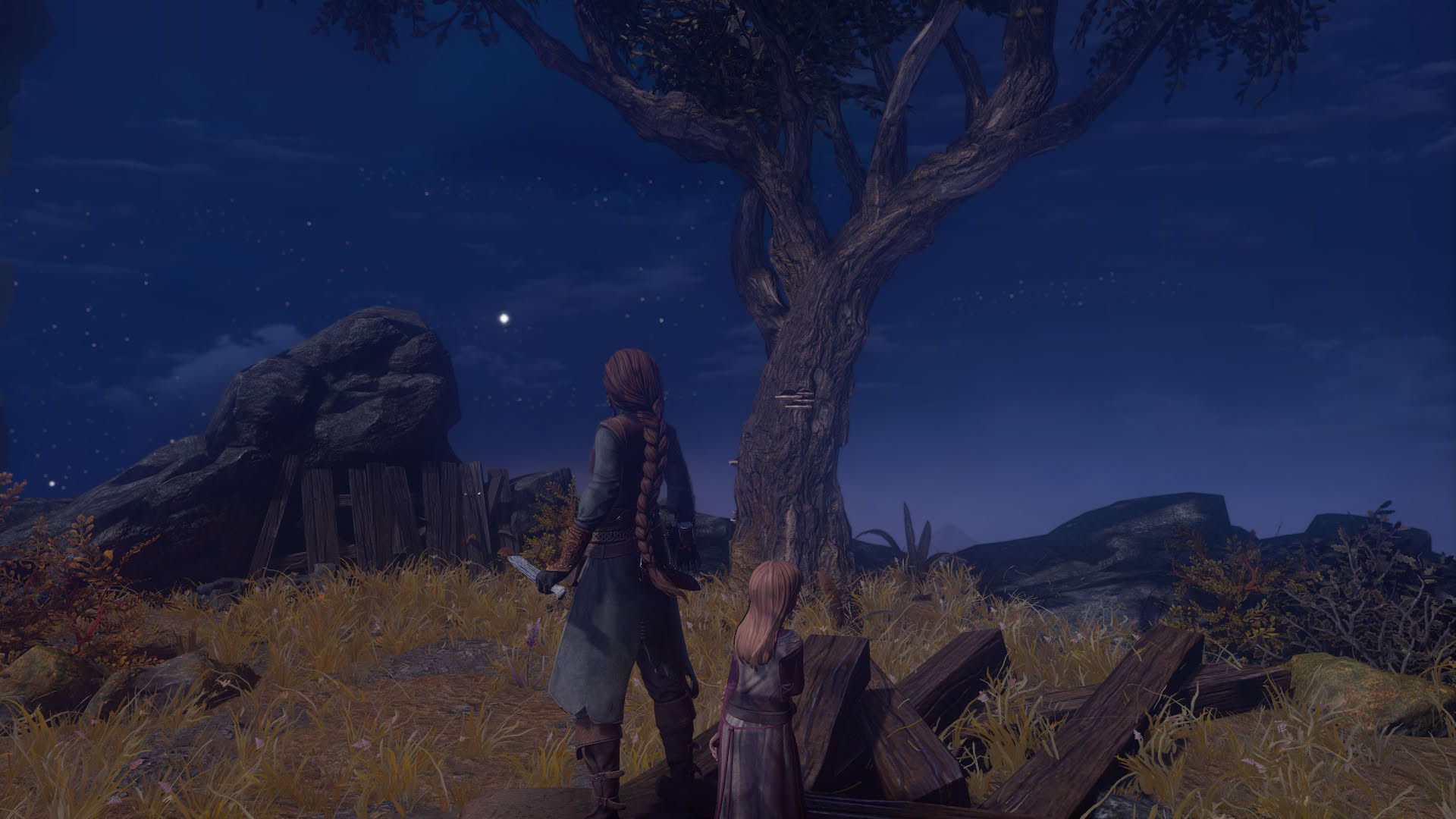 Screenshot for Shadwen