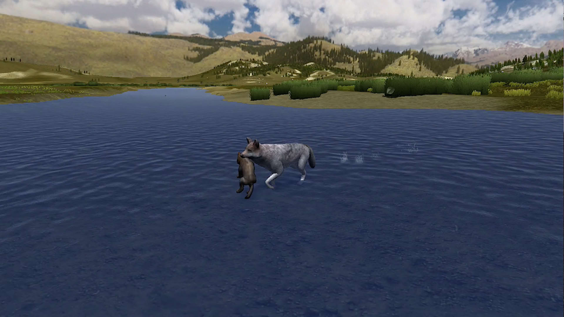 Screenshot for WolfQuest