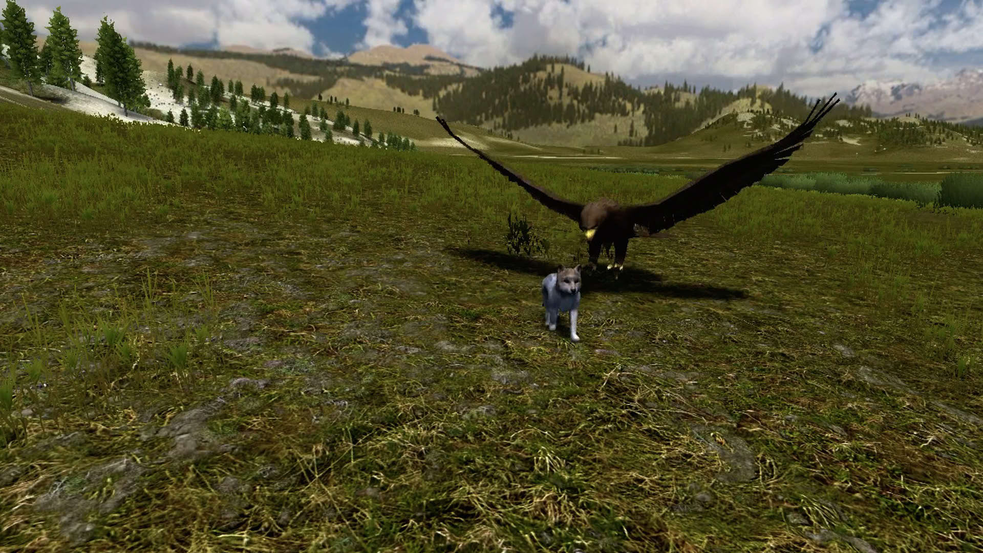 Screenshot for WolfQuest