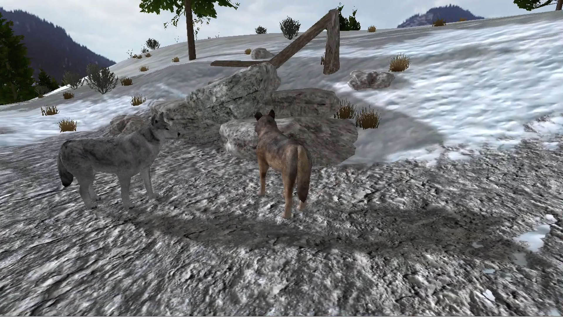 Screenshot for WolfQuest