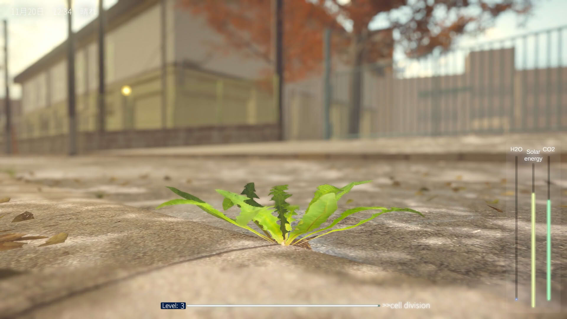 Screenshot for The Dandelion Endures.