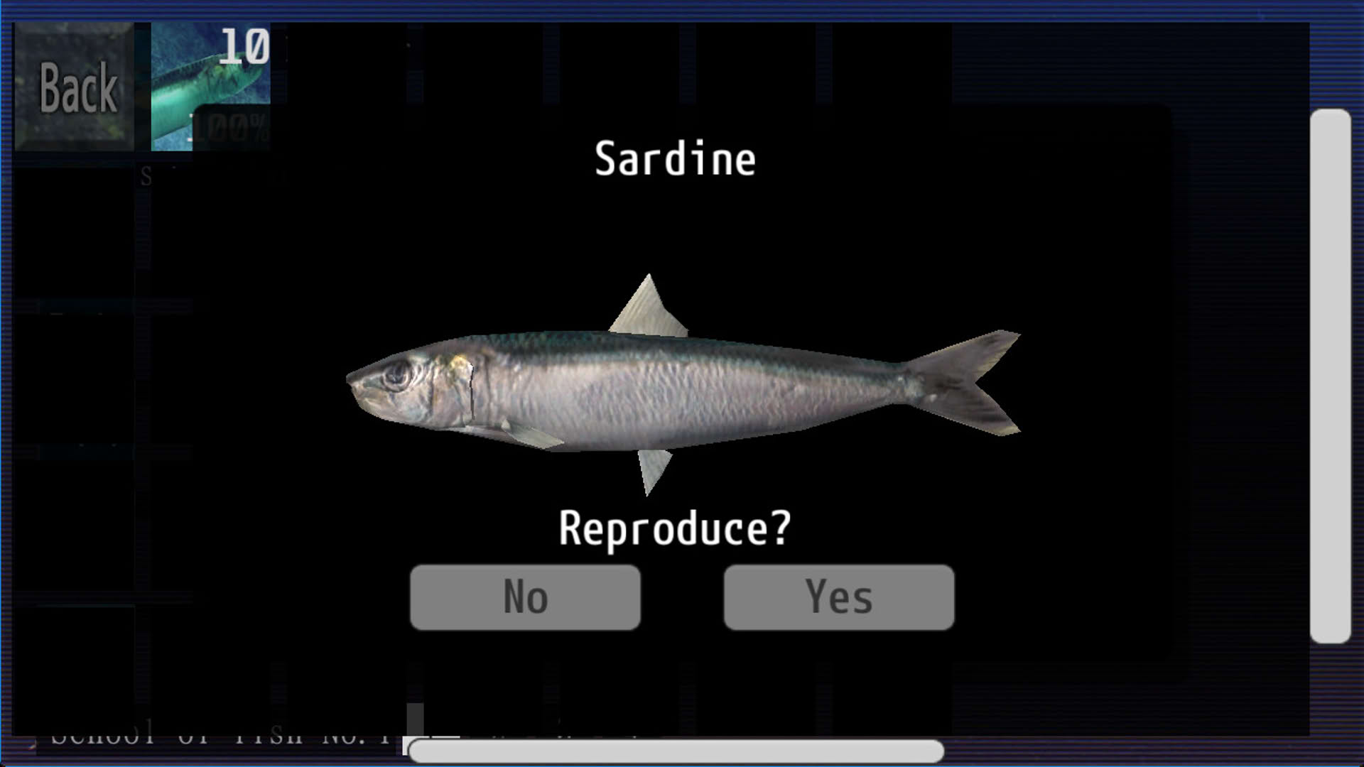 Screenshot for Ace of Seafood