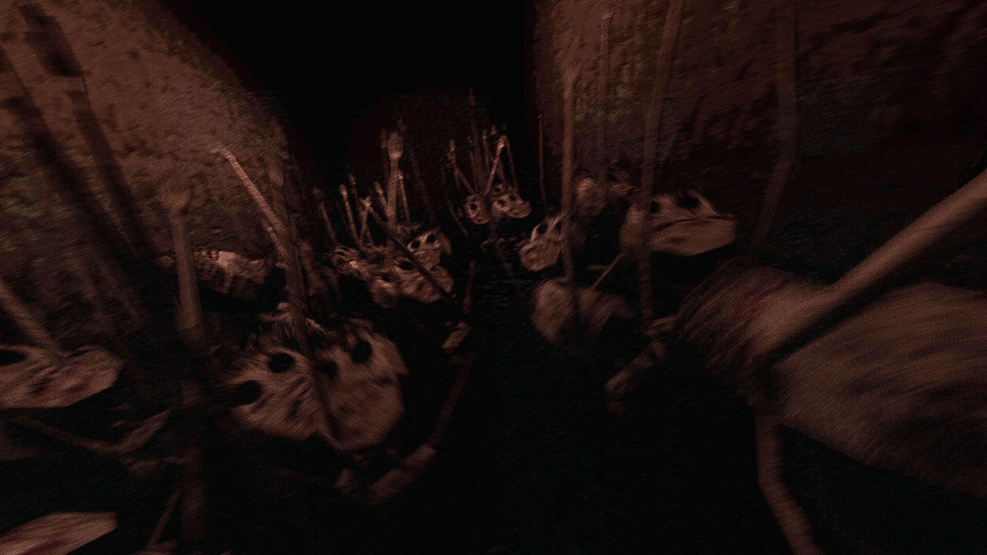 Screenshot for The Well Is Not Empty