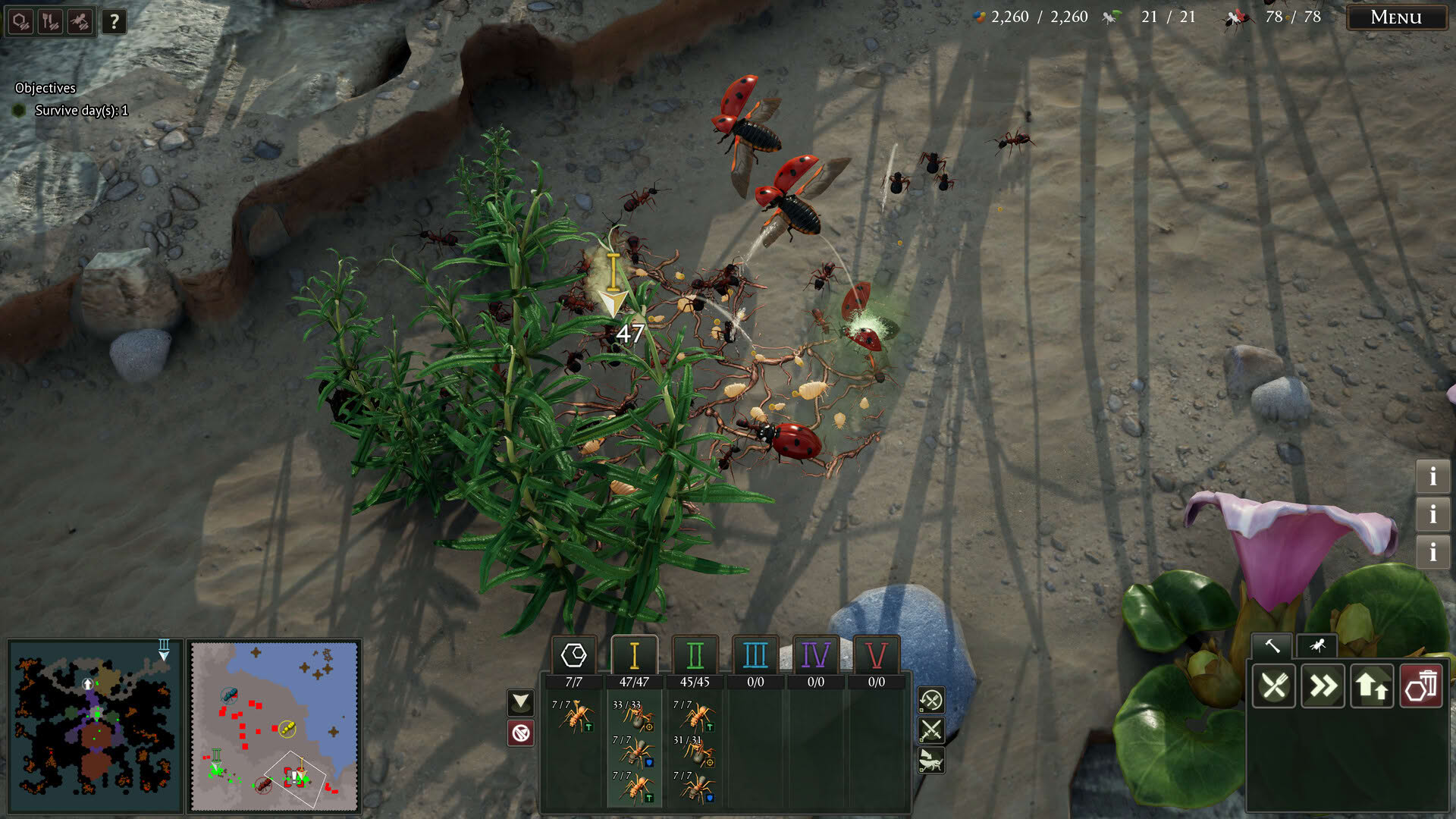 Screenshot for Empires of the Undergrowth