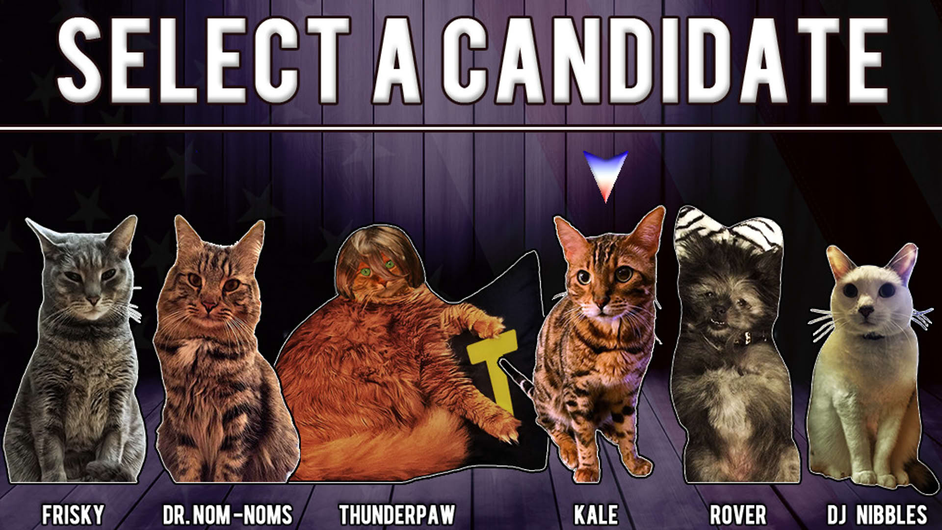 Screenshot for Cat President: A More Purrfect Union