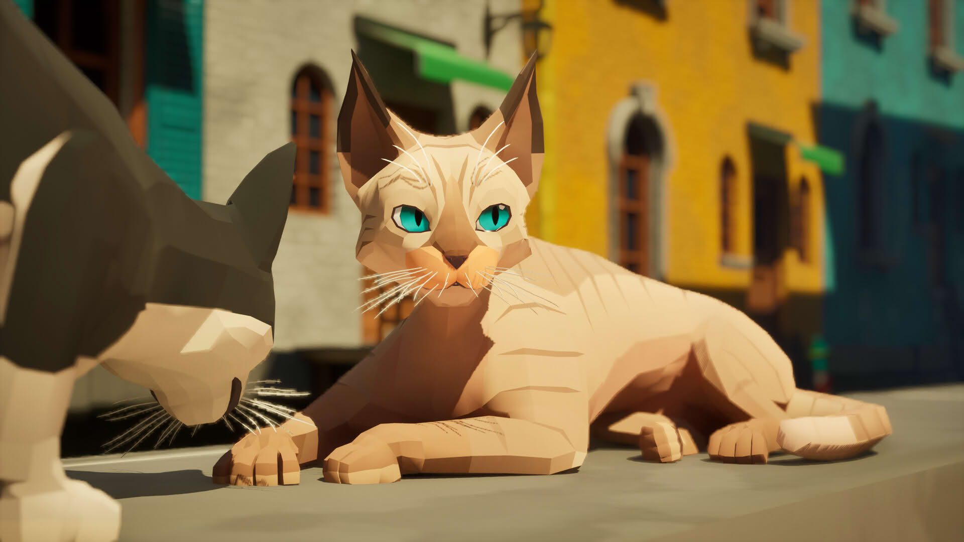 Screenshot for Cat a Photo