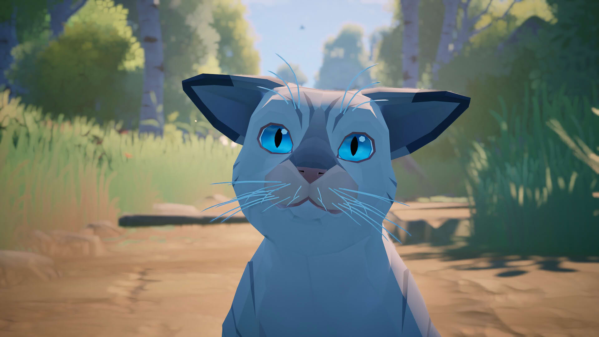 Screenshot for Cat a Photo