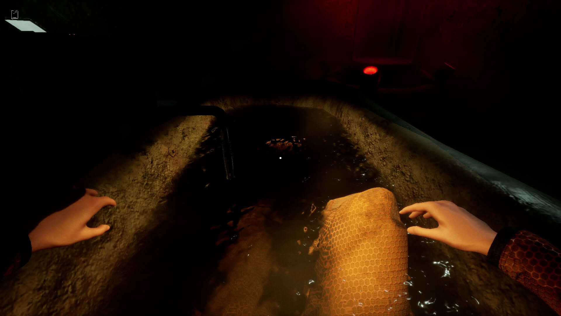 Screenshot for SCP: Darkwater