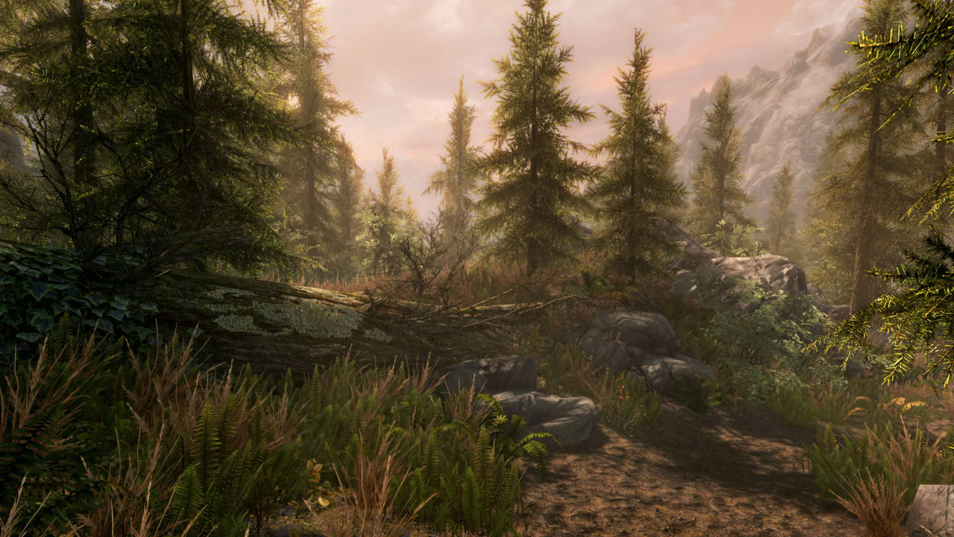 Screenshot for The Elder Scrolls V: Skyrim - Special Edition