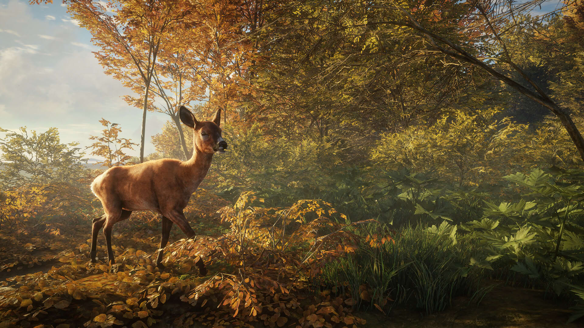 Screenshot for TheHunter: Call of the Wild