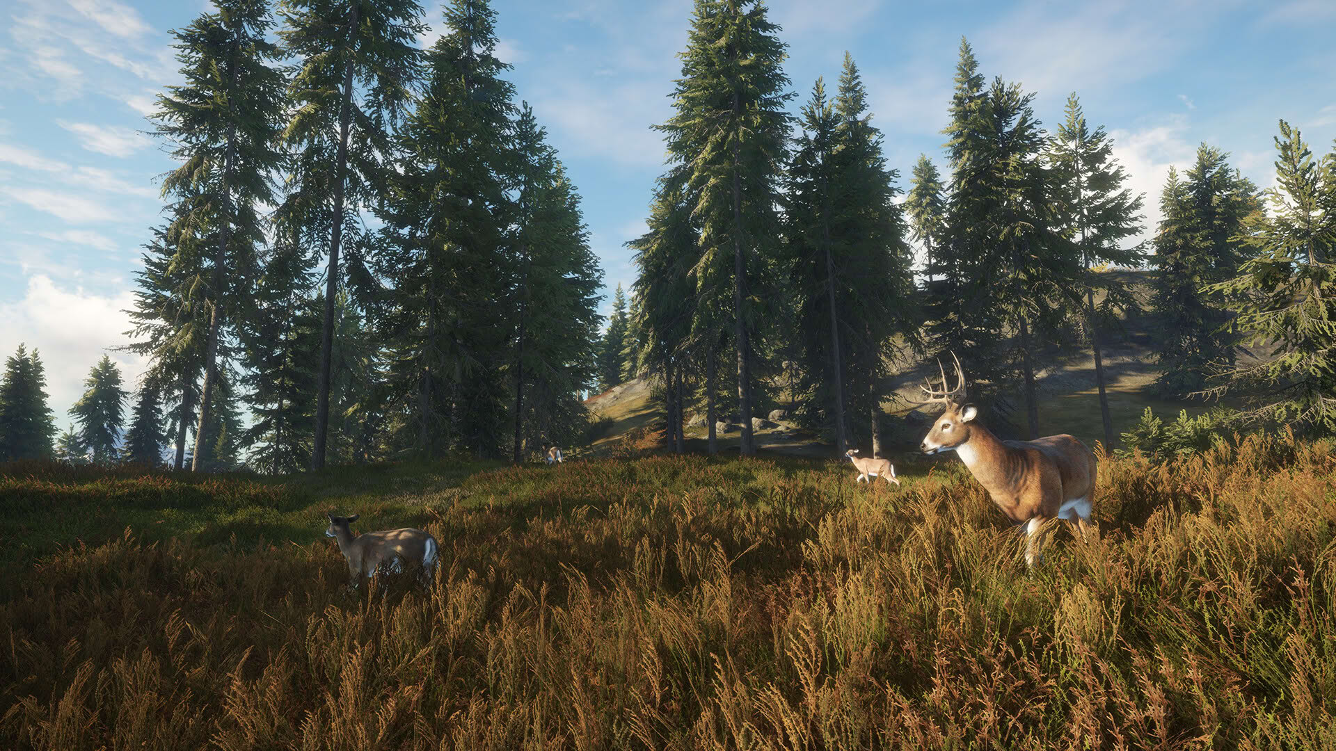 Screenshot for TheHunter: Call of the Wild