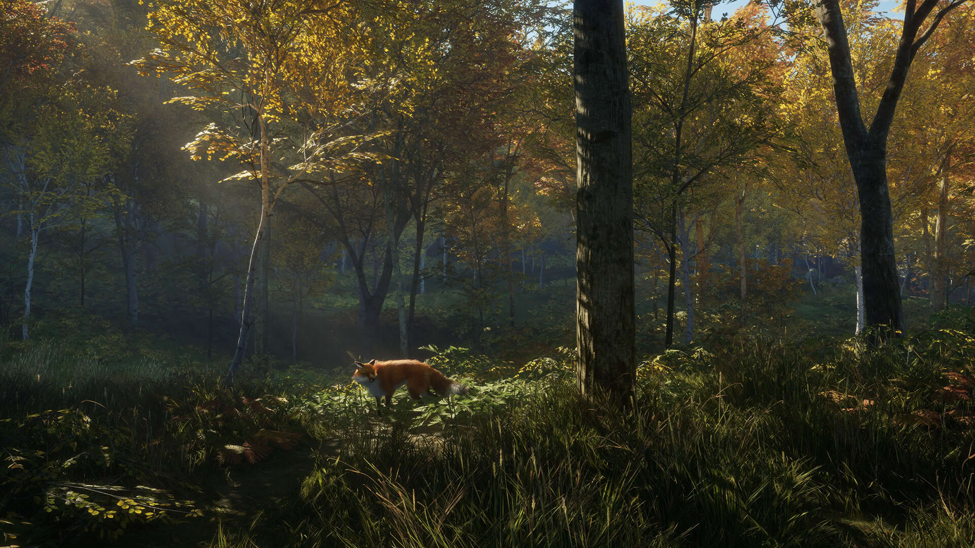 Screenshot for TheHunter: Call of the Wild