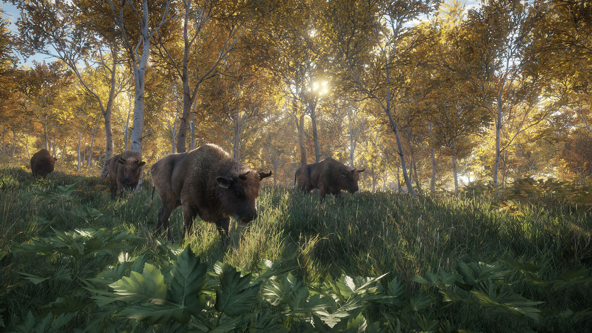 Screenshot for TheHunter: Call of the Wild