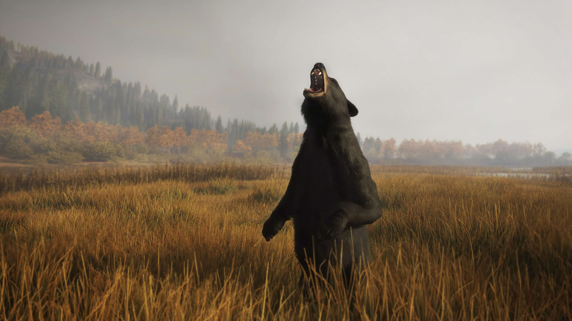 Screenshot for TheHunter: Call of the Wild