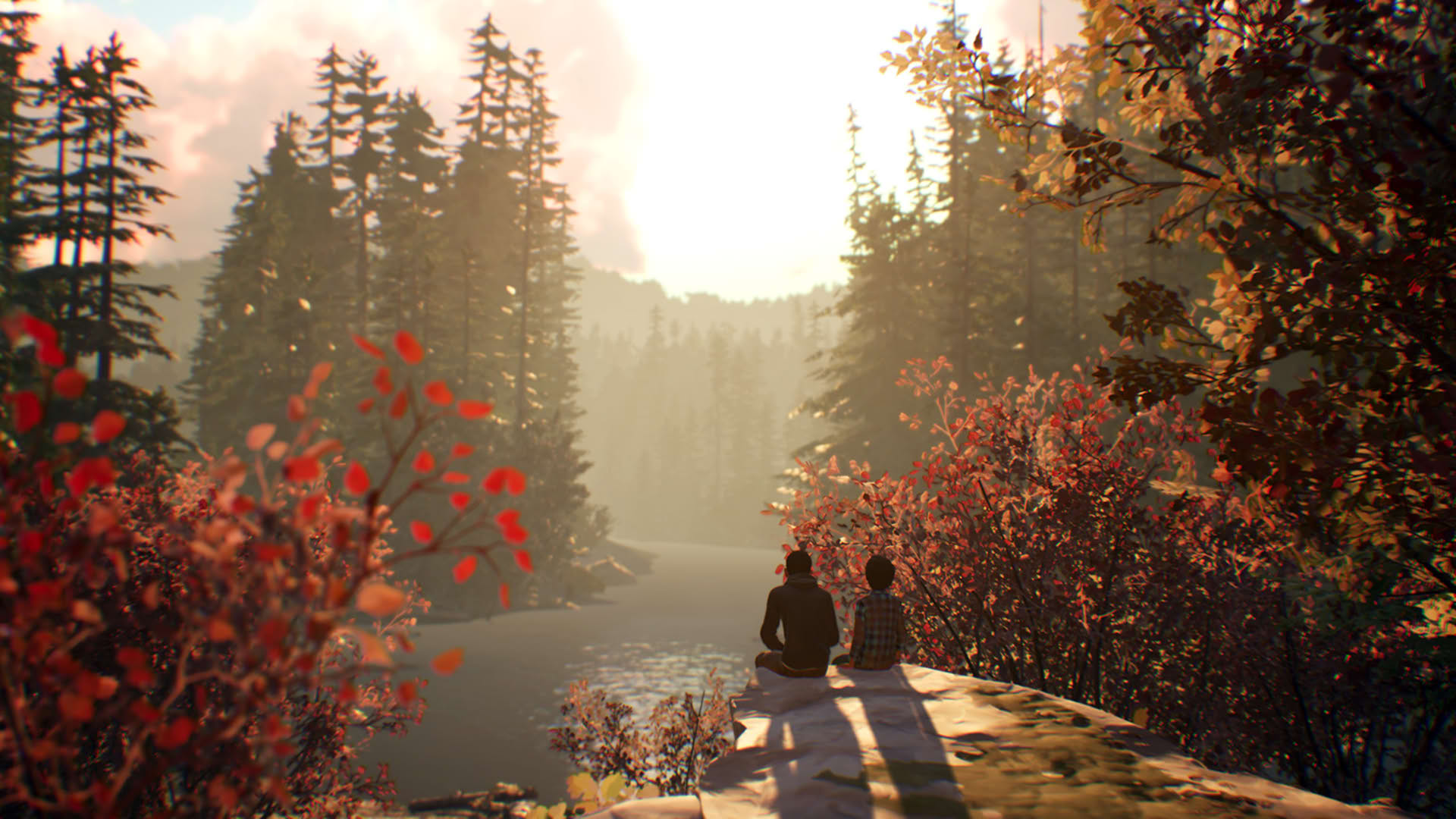 Screenshot for Life Is Strange 2