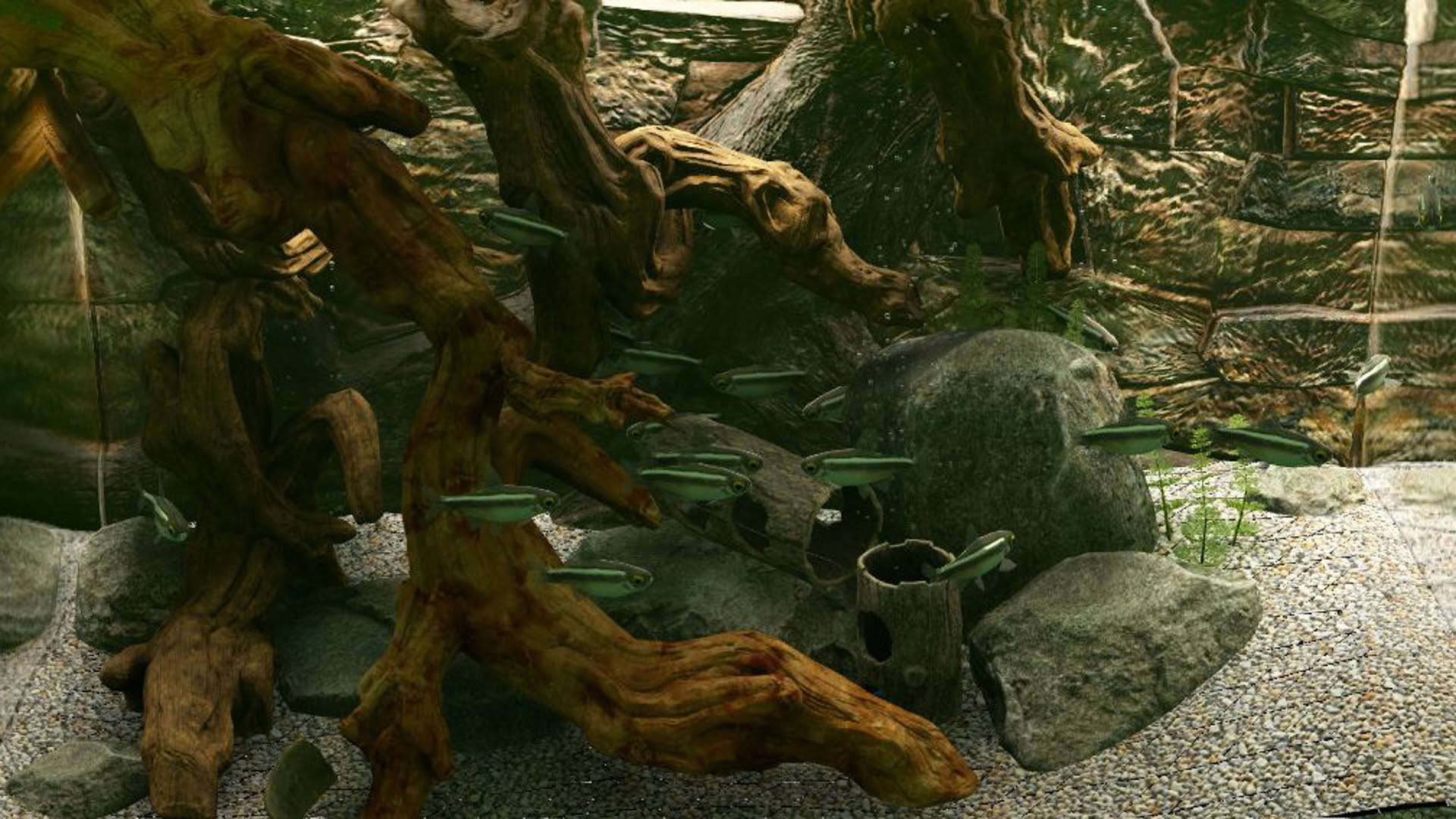 Screenshot for Biotope: Aquarium Simulator