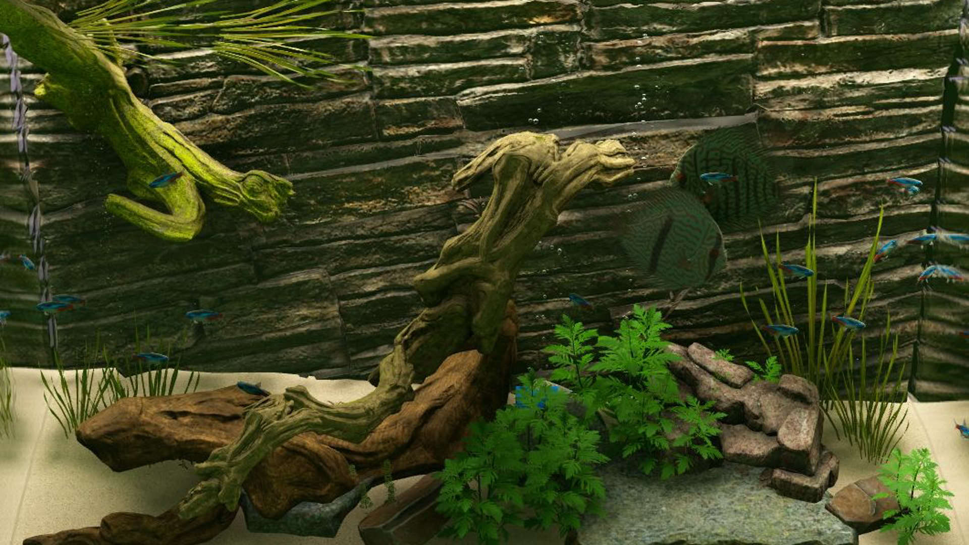Screenshot for Biotope: Aquarium Simulator