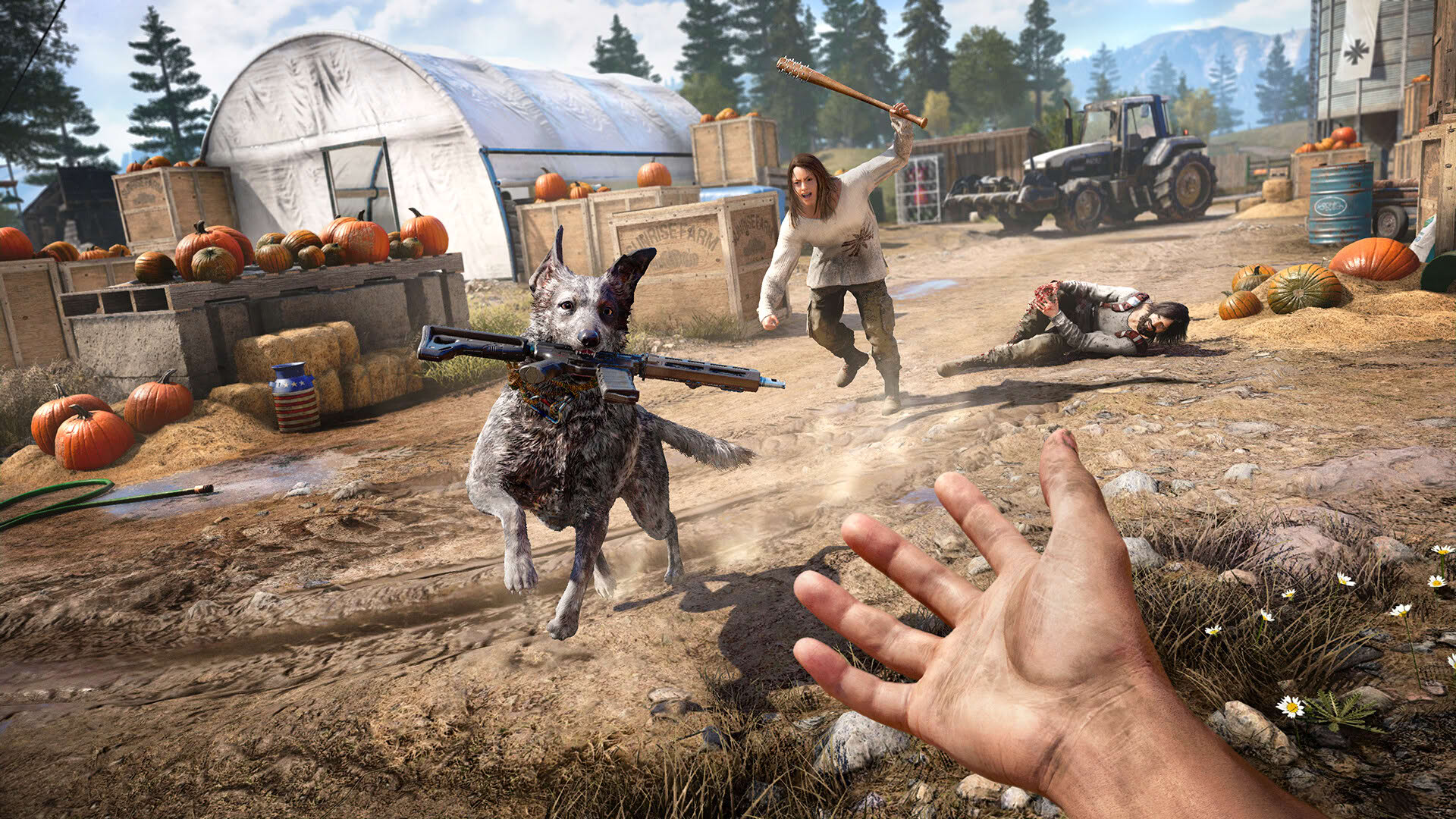 Screenshot for Far Cry 5