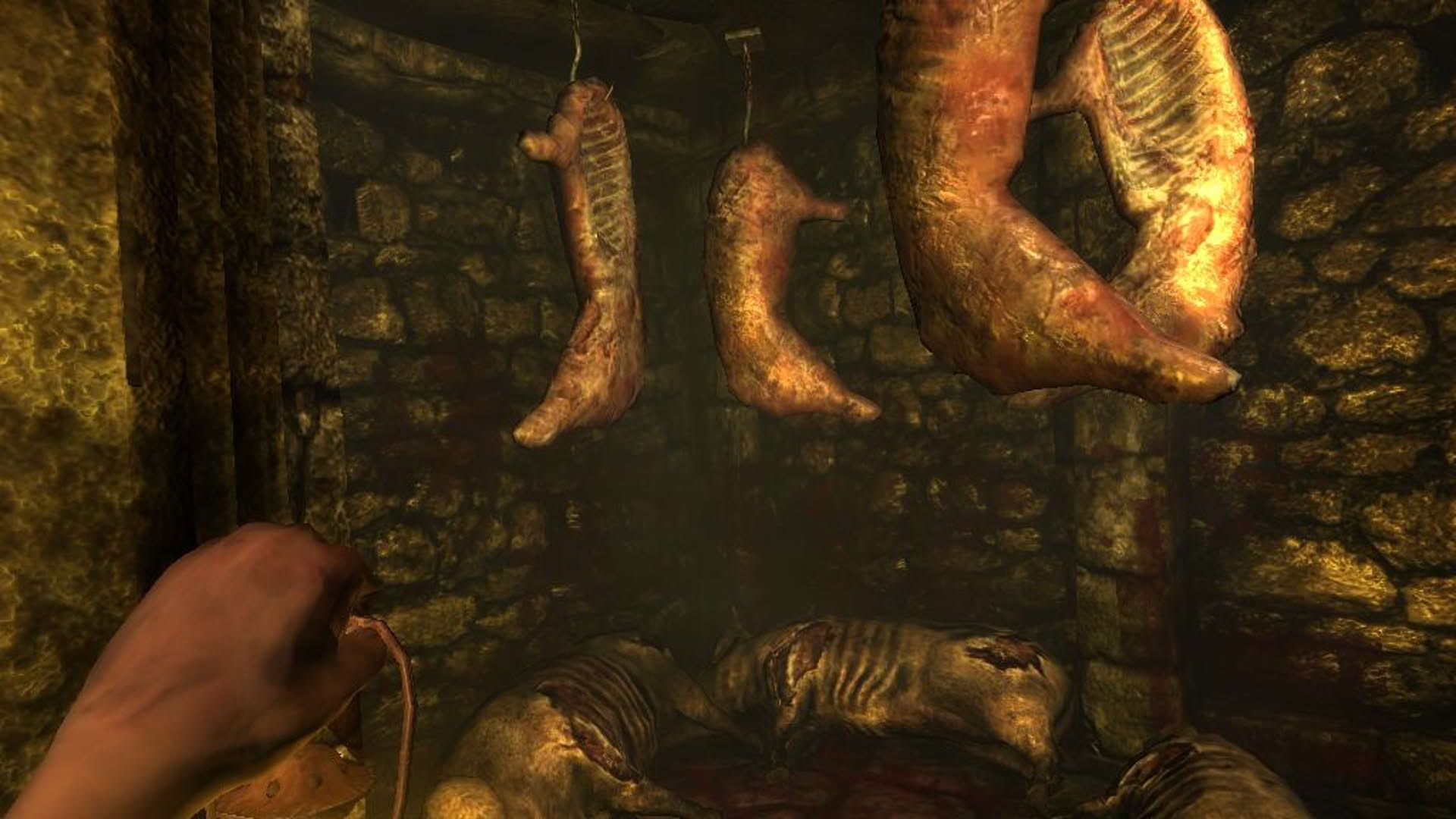 Screenshot for Amnesia: The Dark Descent