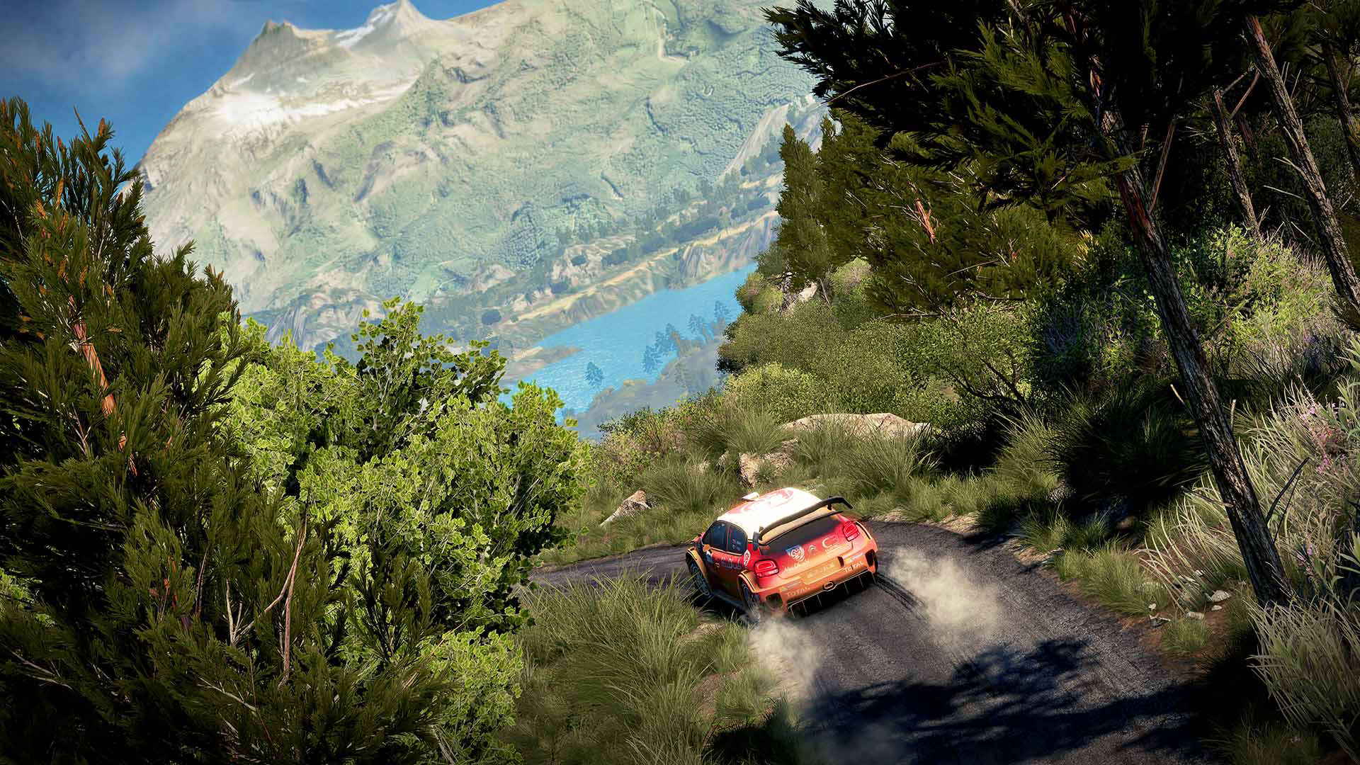 Screenshot for WRC 7