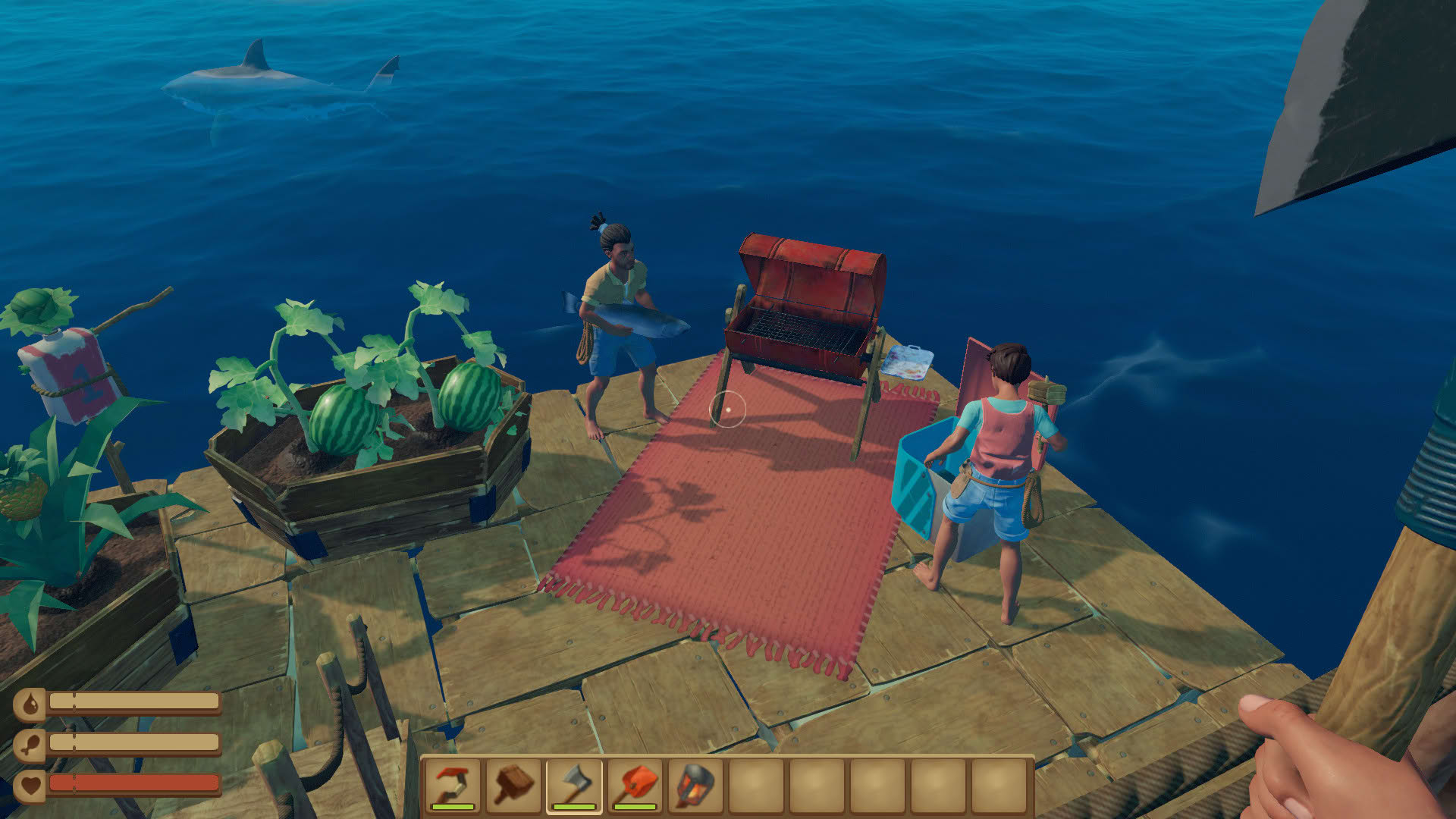 Screenshot for Raft