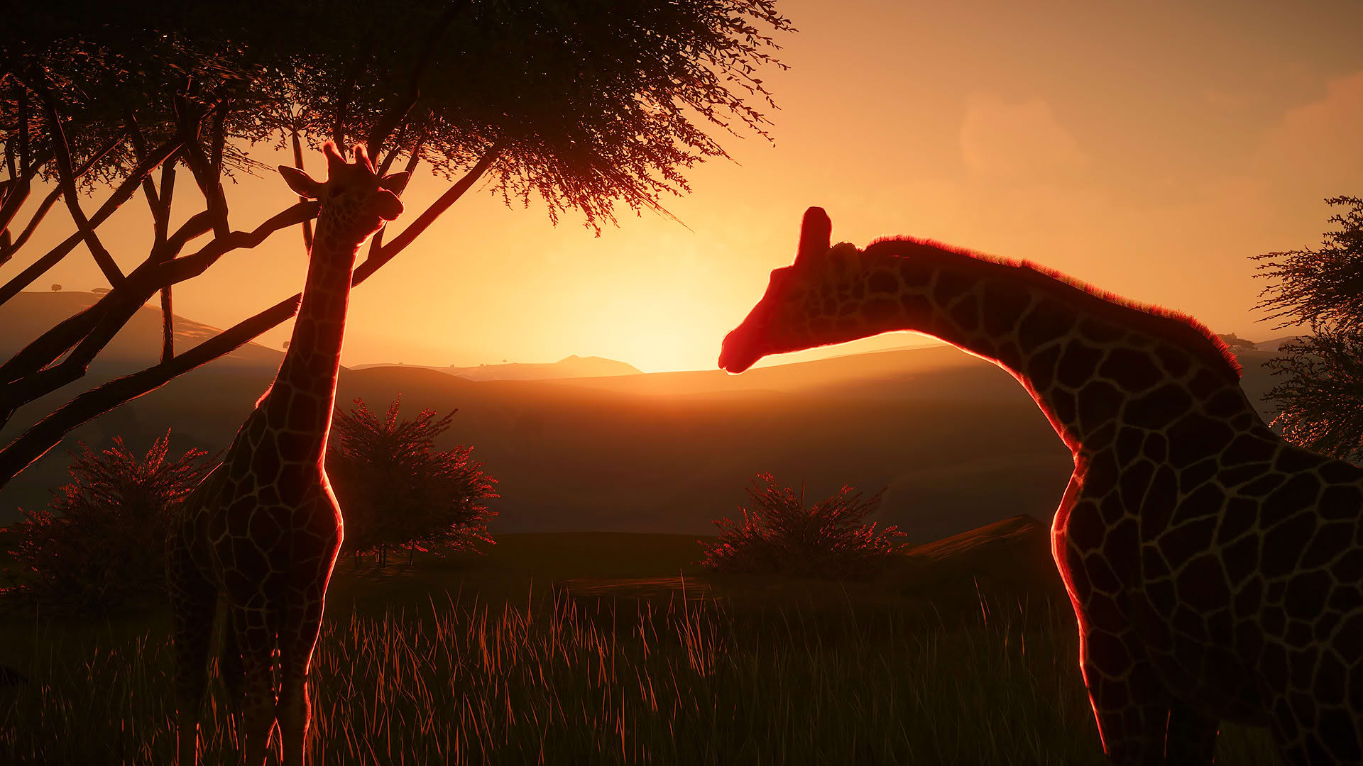 Screenshot for Planet Zoo