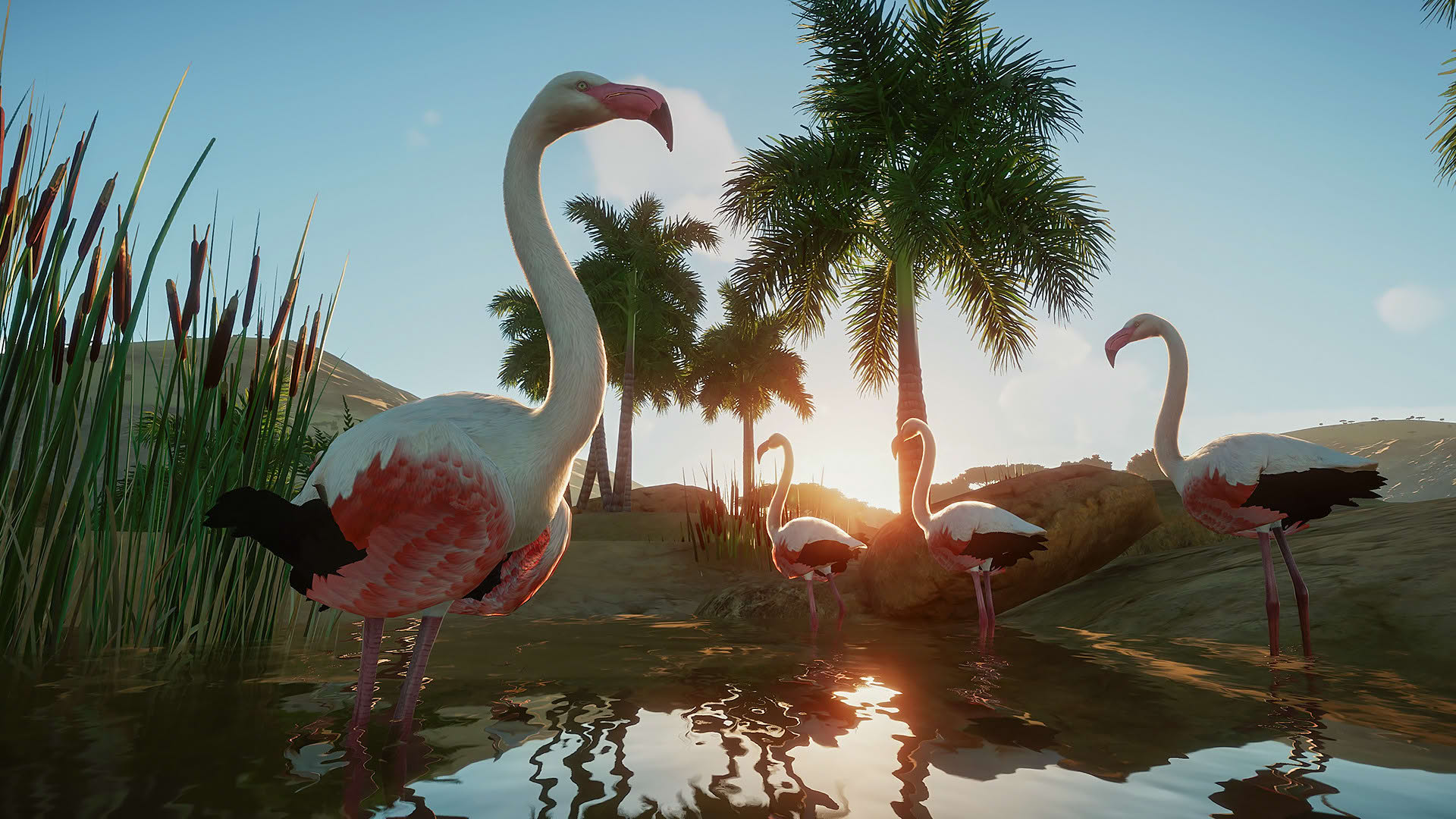Screenshot for Planet Zoo