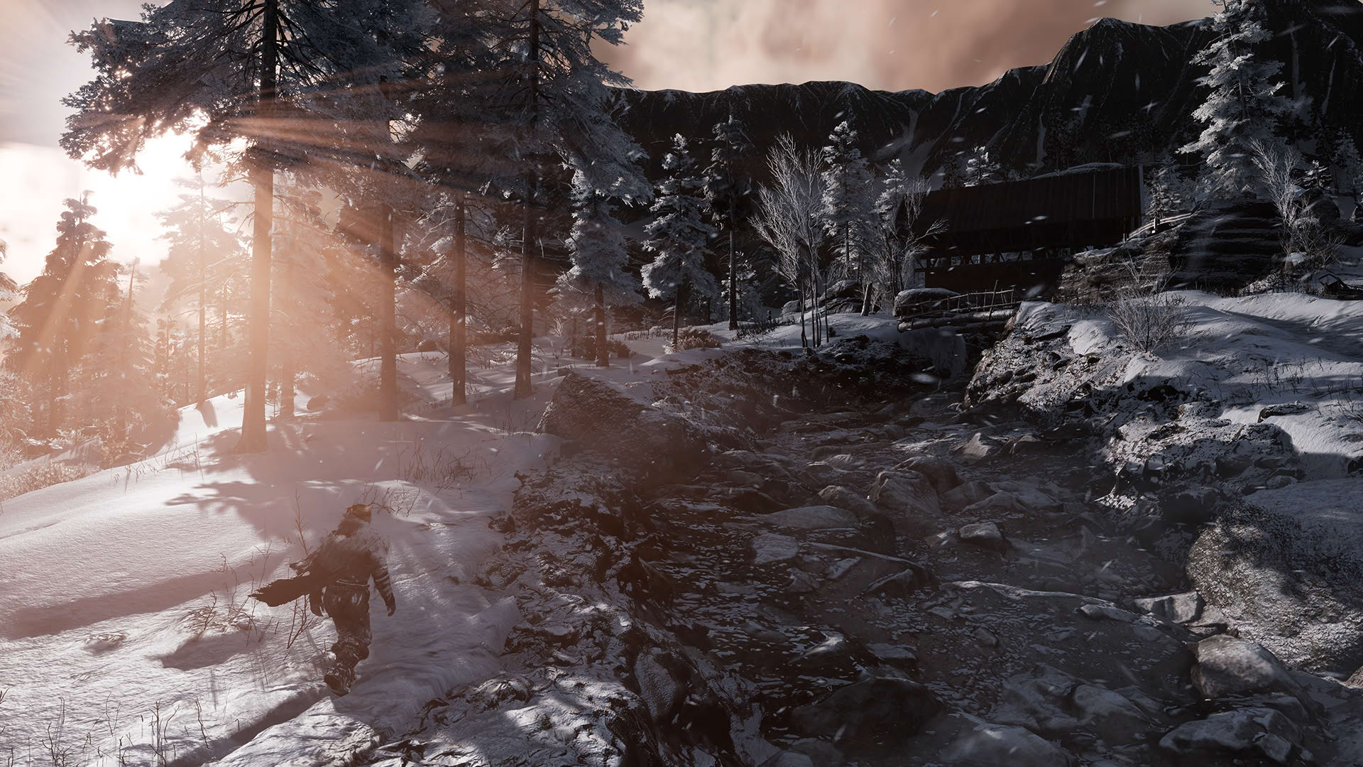 Screenshot for Fade to Silence