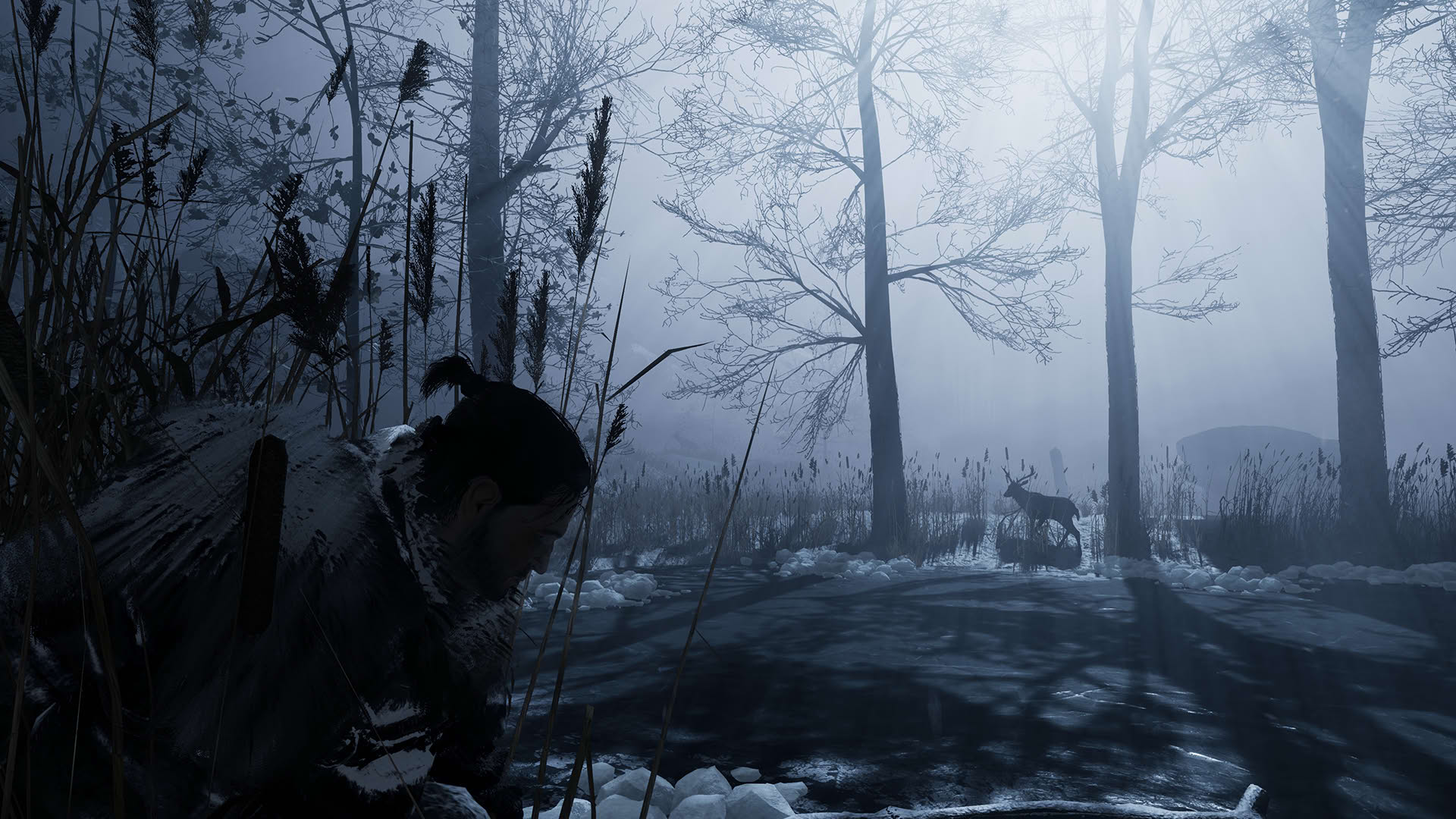 Screenshot for Fade to Silence