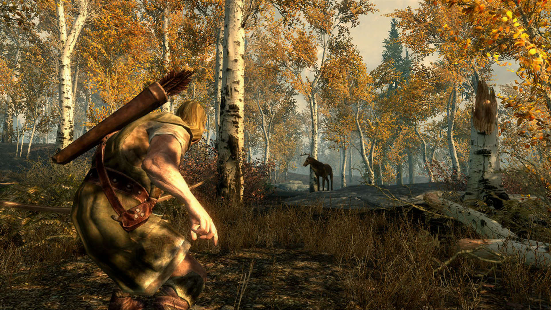 Screenshot for The Elder Scrolls V: Skyrim