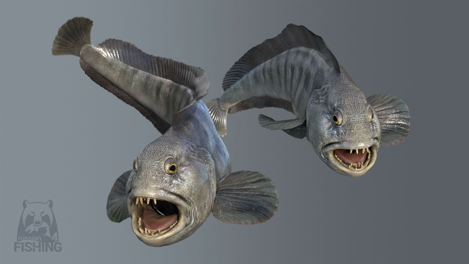 Screenshot for Russian Fishing 4
