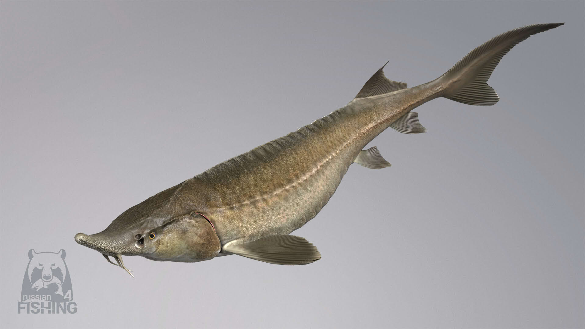 Screenshot for Russian Fishing 4