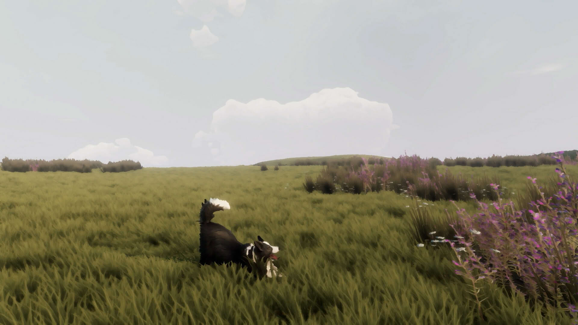 Screenshot for The Free Shepherd
