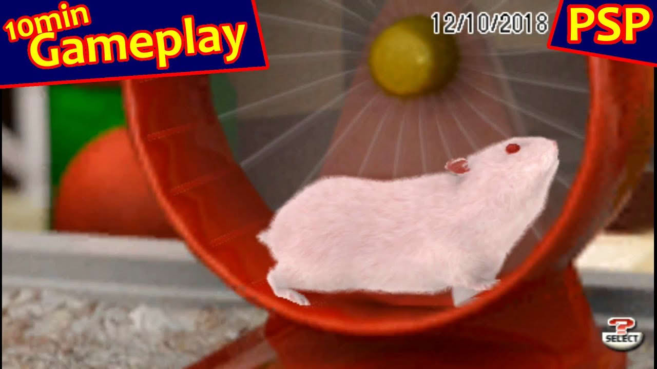 Petz: Hamsterz Bunch ... (PSP) Gameplay
