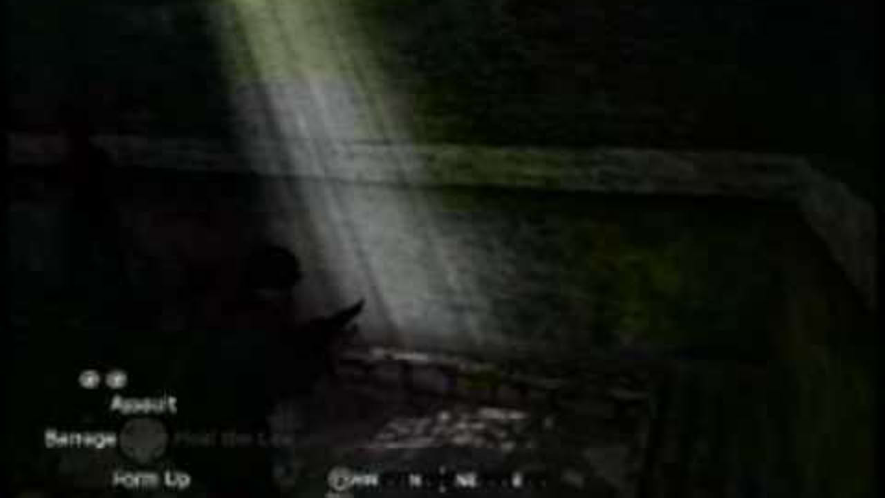 Call of Duty: Devils Brigade ingame