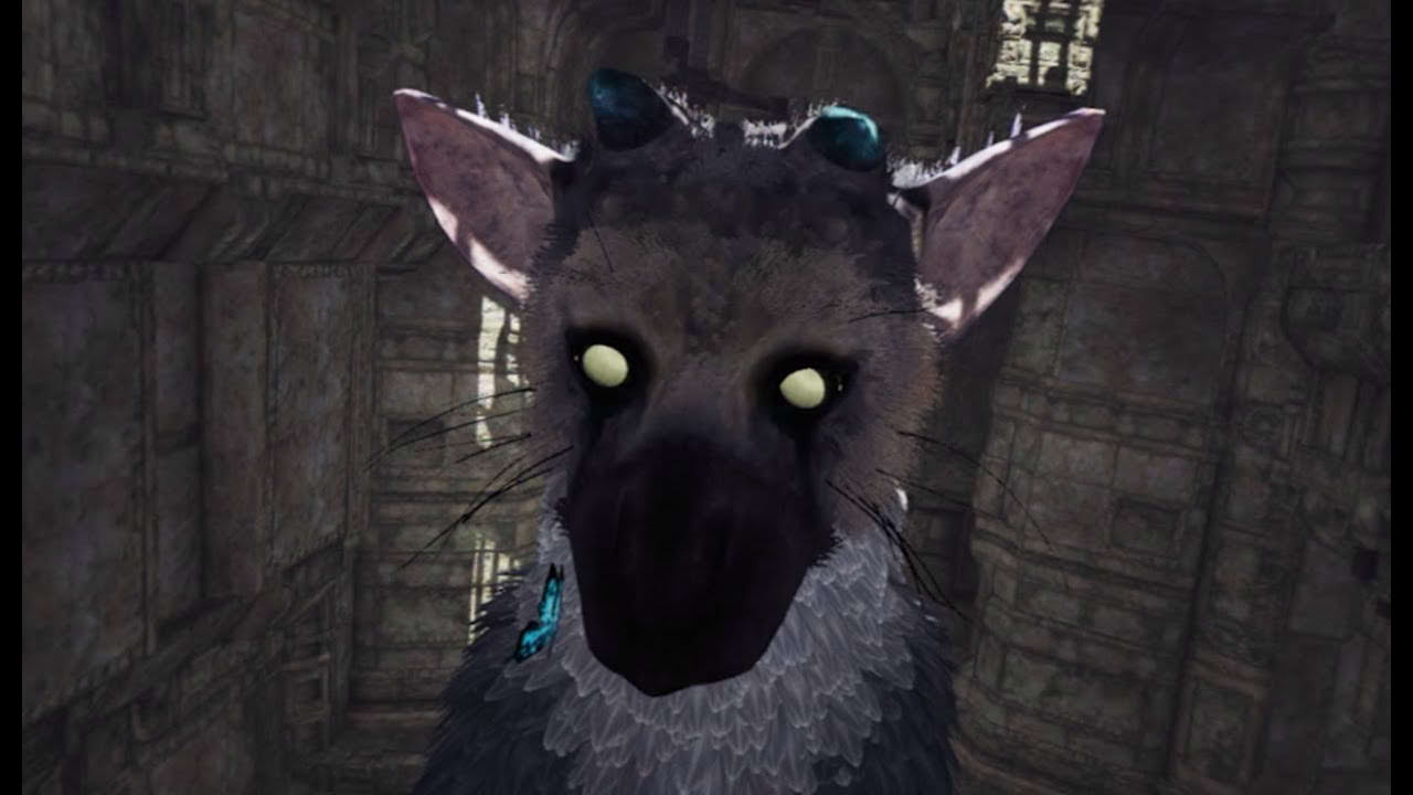 5 Minutes of The Last Guardian in PSVR